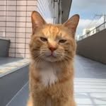 jametnp 프로필 사진