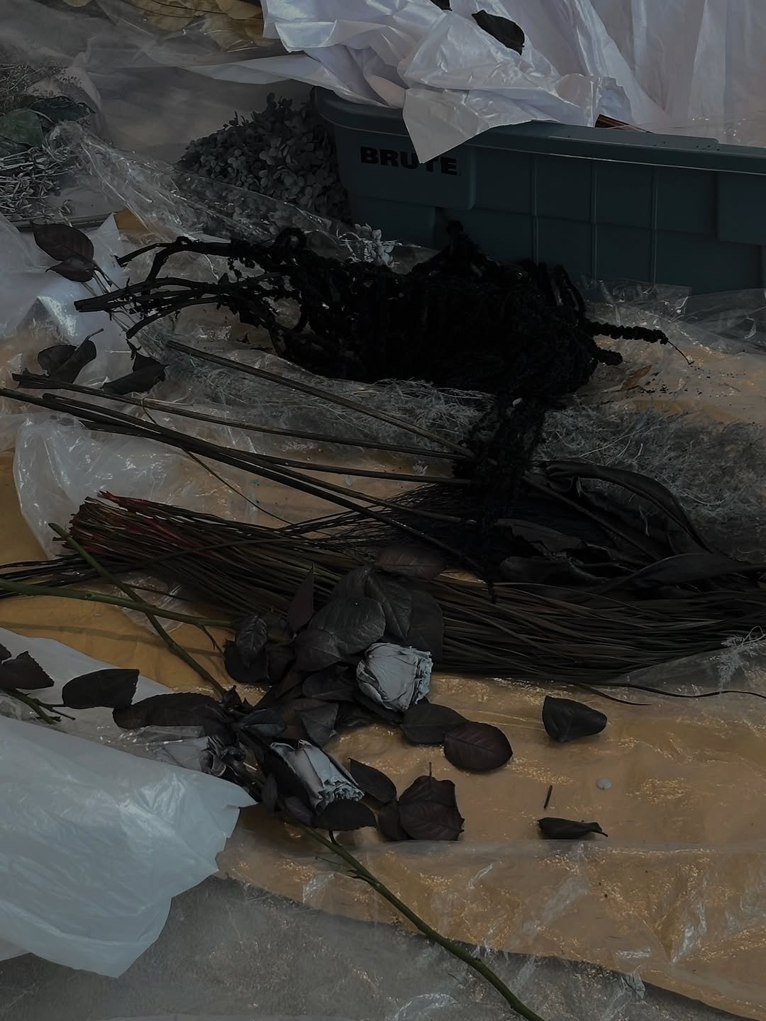 Photo by 왕십리 커플🤍 on August 30, 2025. May be an image of vulture, garbage, plastic bag and text.