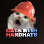 catswithhardhats 프로필 사진