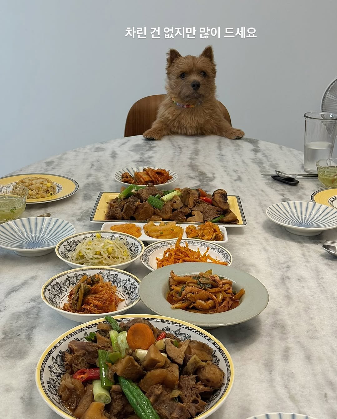 Photo by 조하린 마태오 Matthew🥥 on August 14, 2025. May be an image of Norwich terrier, steak and text.
