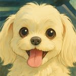 star__11.19 프로필 사진