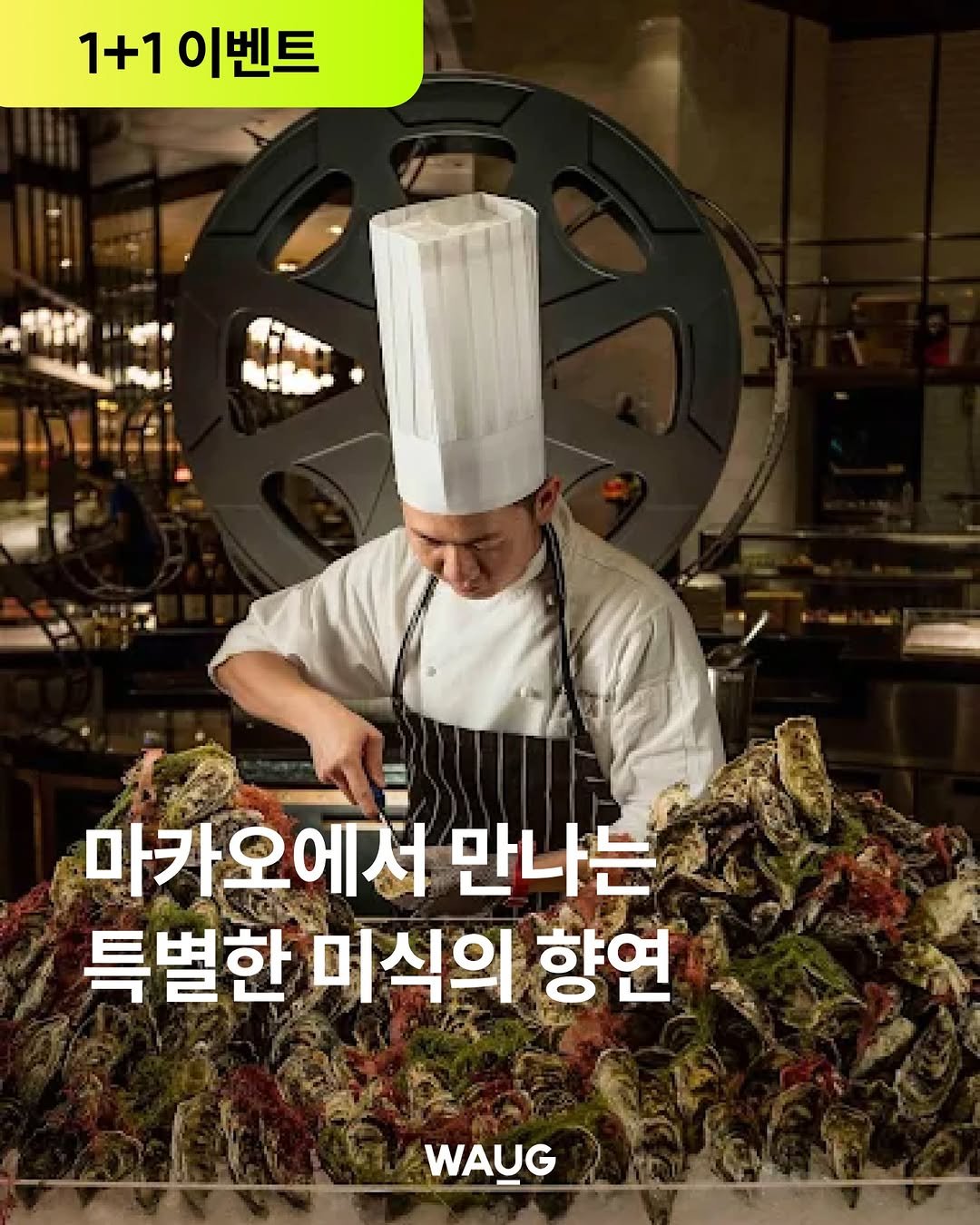 Photo by WAUG 와그 on January 05, 2026. May be an image of vegetable and text that says '1+1 이벤트 마카오에서 만나는 특별한 미식의 항연 WAUG'.