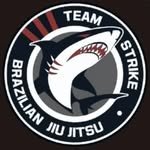 team_strike_pocheon 프로필 사진