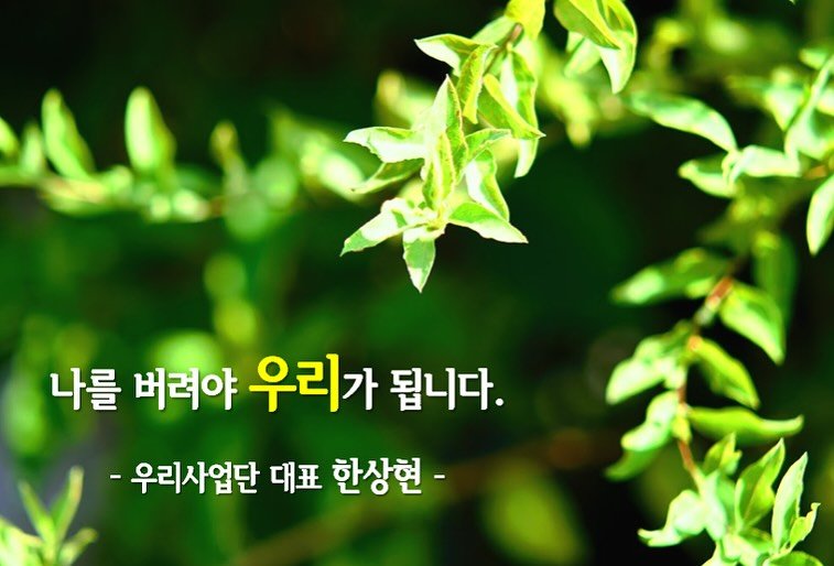 Photo by ✪ 인카금융서비스 _ 우리사업단 대표 한상현 ✪ on September 21, 2025. May be an image of herb and text that says '나를 버려야 우리가 됩니다. -우리사업단 대표 한상현-'.