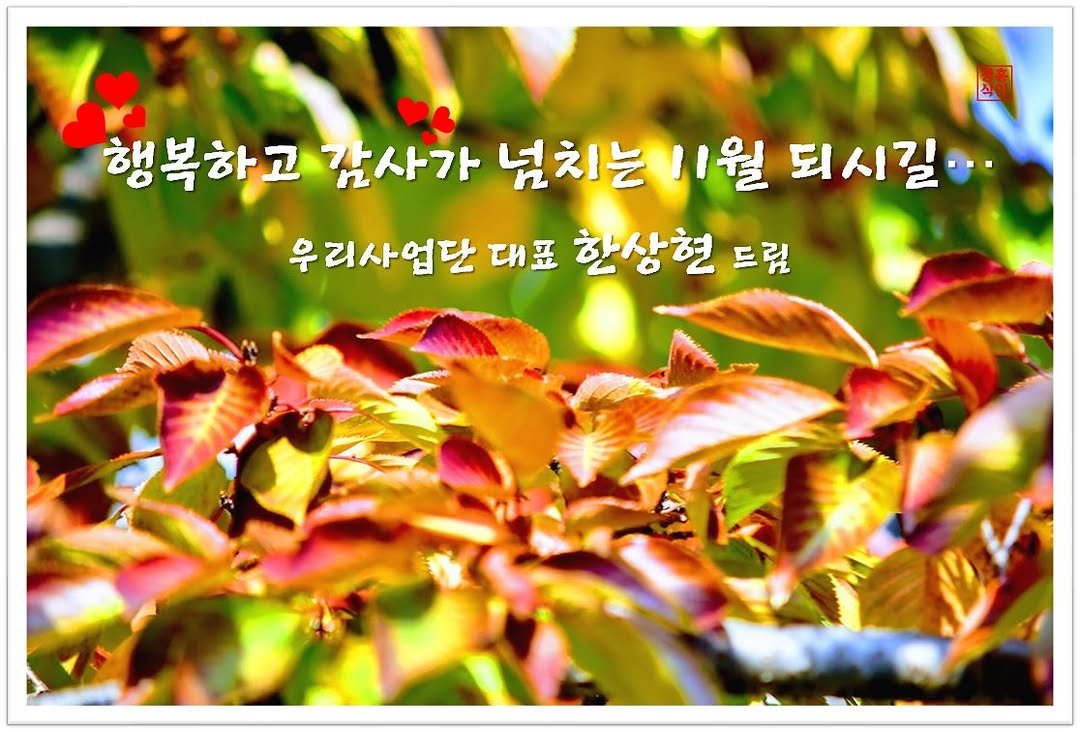 Photo by ✪ 인카금융서비스 _ 우리사업단 대표 한상현 ✪ on October 31, 2025. May be an image of text that says '행복하고 감사가 넘치는 넘치는11월되시길 11월 되시길 우리사업단 대표 한상현 드림'.