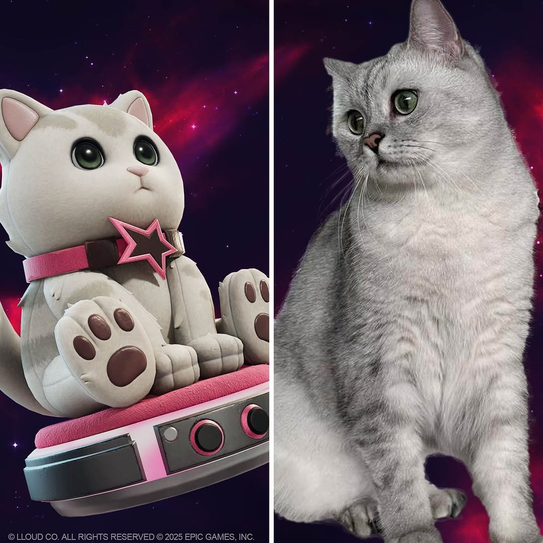 Photo shared by Fortnite Festival on December 02, 2025 tagging @wearelloud. May be an image of ragdoll cat, kitten, Persian cat, toy and text.