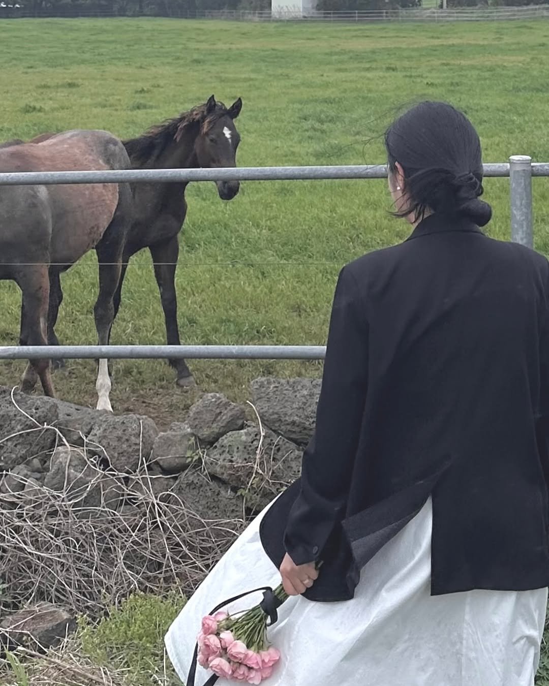 Photo by 다이렉트결혼준비 정수완플래너 on May 22, 2025. May be an image of 1 person, horse, foal and text.