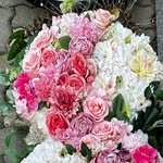 monsterflower2025 프로필 사진