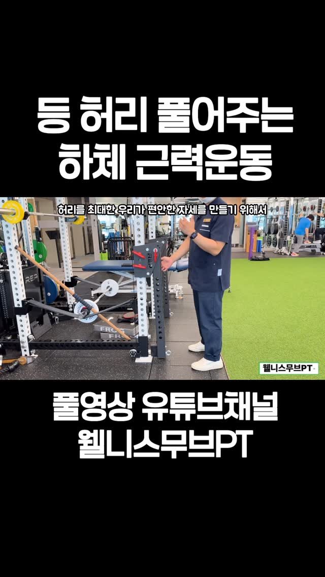 wellnessmove_ 게시물 이미지: 등 허리 시원한 하체근력운동

풀영상 유튜브 채널 웰니스무브PT 에서 시청...