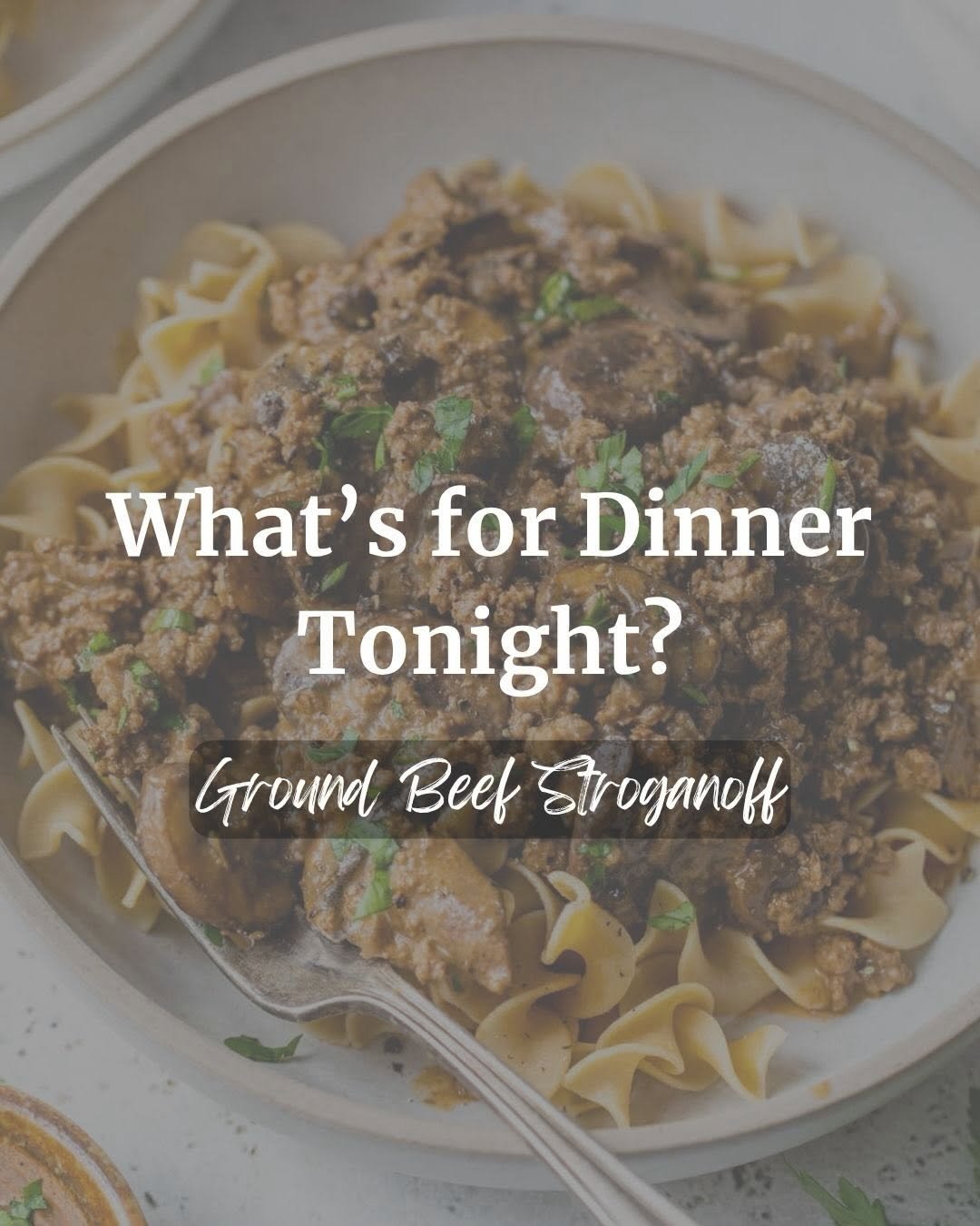 Photo by Erin Clarke | Well Plated on March 26, 2026. May be an image of pasta and text that says 'What' What'sforDinner S for Dinner Tonight? Ground Beef Stroganoff'.