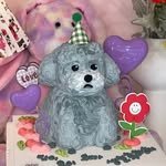 cake_mgmg_ 프로필 사진