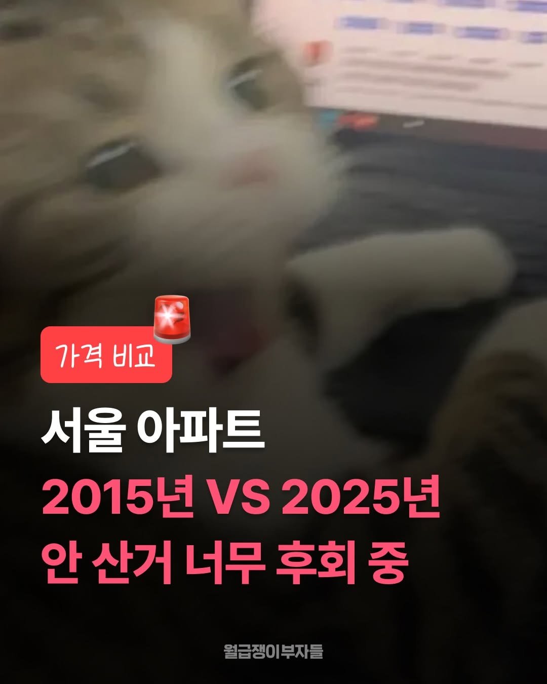 서울아파트 안 산거 너무 후회 중