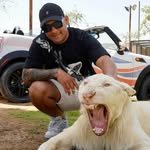 diogo305ofc 프로필 사진