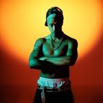 tzdacoronel 프로필 사진