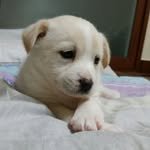 vtg_tongtong 프로필 사진