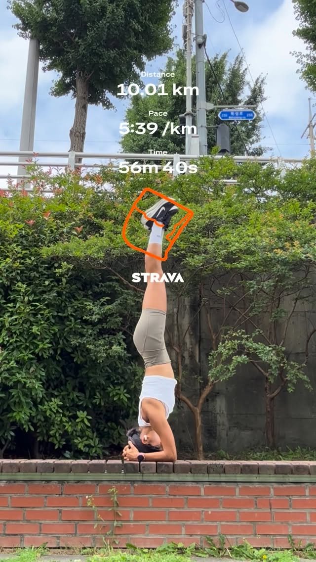whale_yoga 게시물 이미지: .
흔한 요가인의 달리기
핀차하려다가 넘어지면 곤란 할 것 같아서
매우 안전한 시르시아사나로🤣