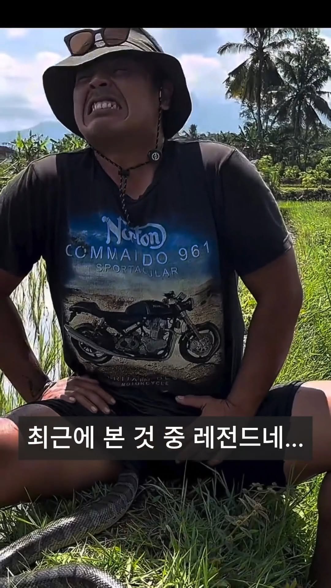 what___the_____ 게시물 이미지: 정글에서 물속이 위험한...