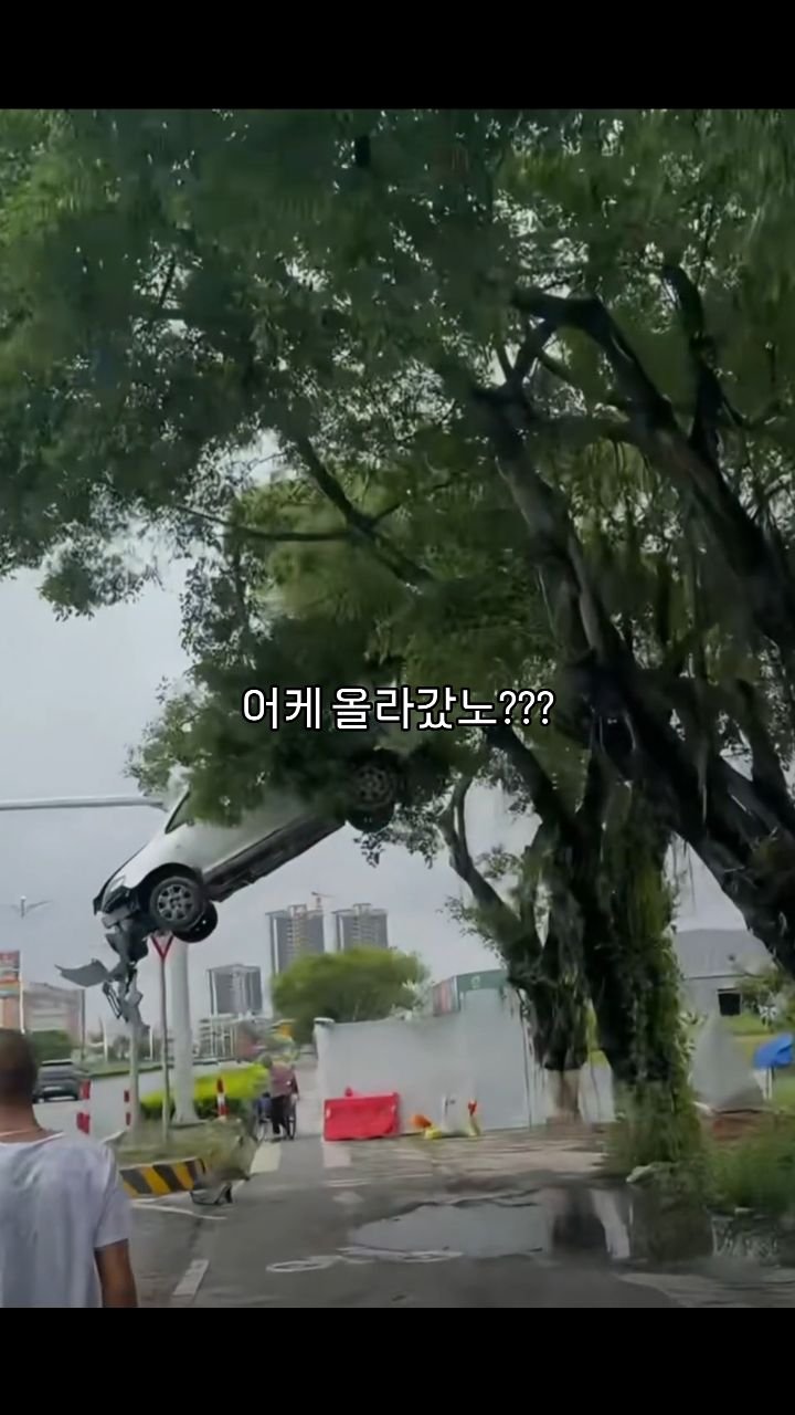 what___the_____ 게시물 이미지: 어케올라갔노??