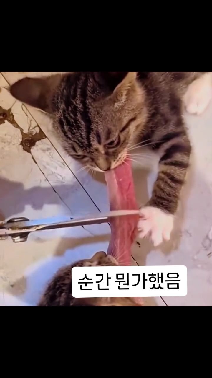 what___the_____ 게시물 이미지: 놀래라....
#팔로우 #좋아요 #오늘의유머 #좋반