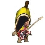 guitar_vanhalen 프로필 사진
