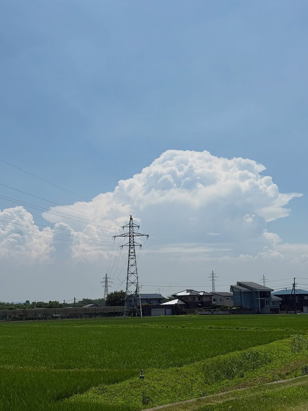 Photo by 영민 on August 13, 2025.