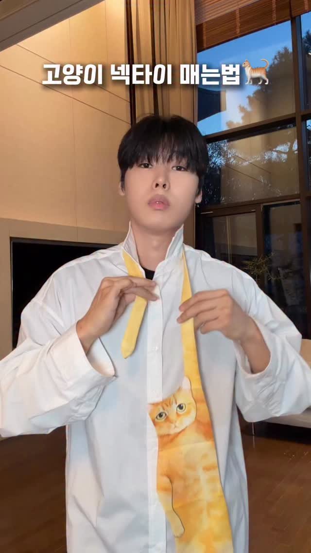 whateveriwantgood 게시물 이미지: 고양이 넥타이 매는법🐈