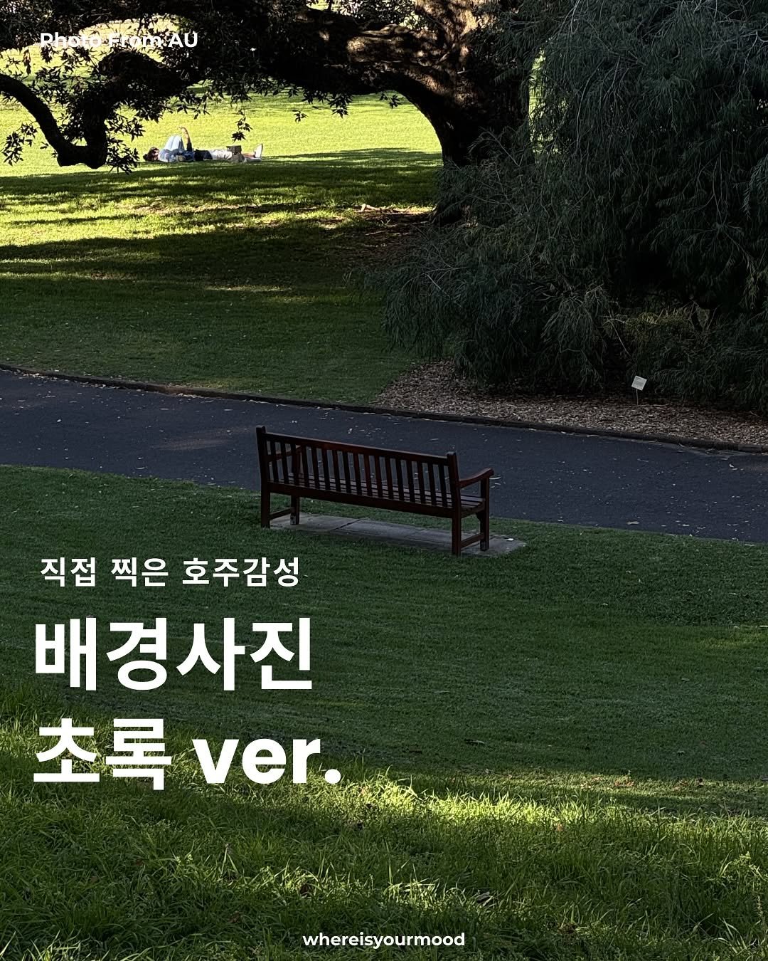 Photo by whereisyourmood / 웨이무매거진 on September 22, 2025. May be an image of outdoors and text that says '직접 찍은 호주감성 배경사진 초록 초록ver. ver. whereisyourmood'.