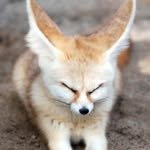 areumsongee2 프로필 사진