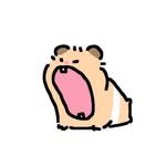 tobbi_wiwd 프로필 사진