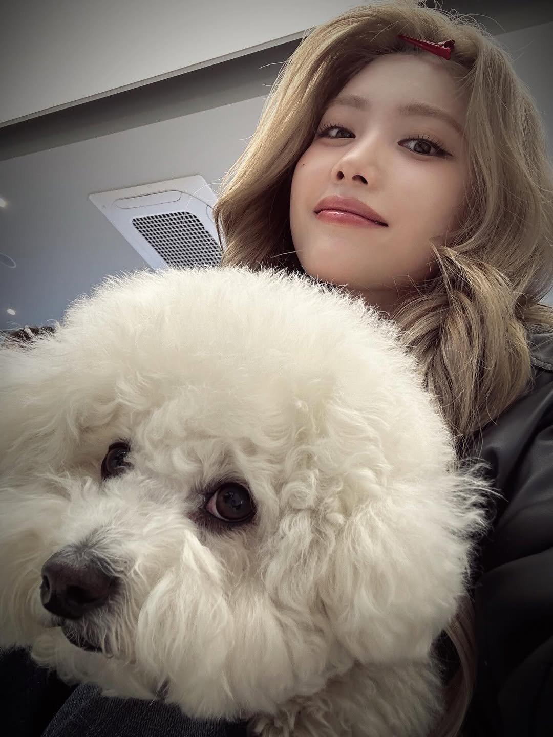 Photo by SHEN XIAOTING on March 13, 2026. May be an image of one or more people, hair, Bedlington terrier and text.