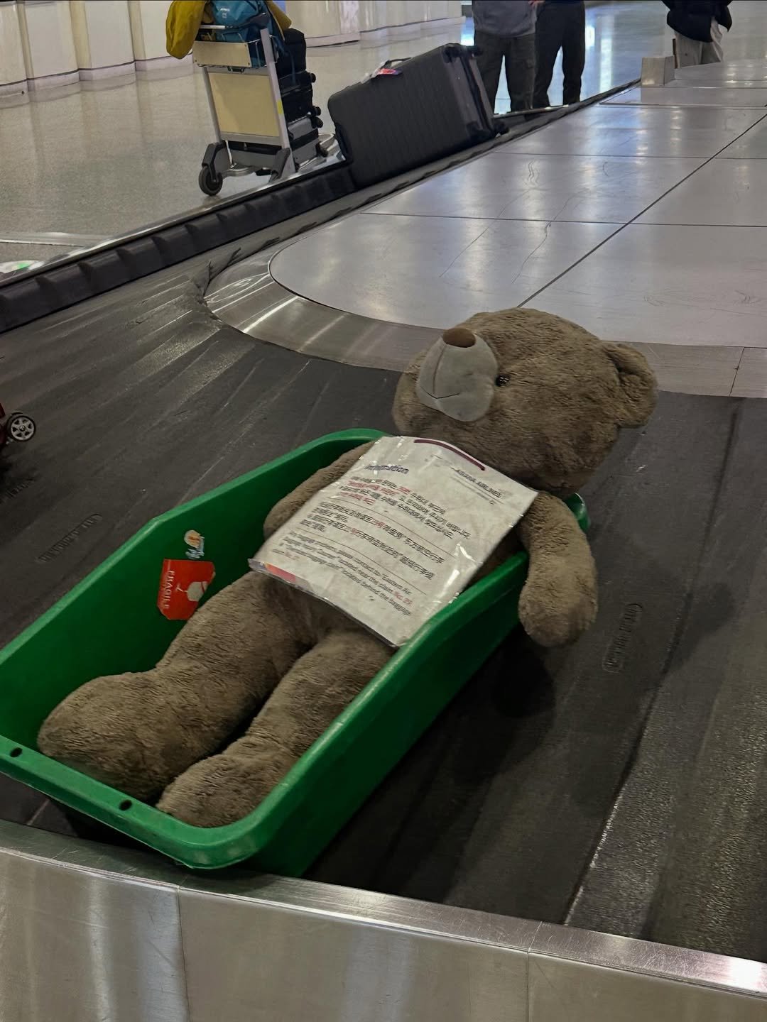 Photo by SHEN XIAOTING on January 18, 2026. May be an image of bear, suitcase and luggage.