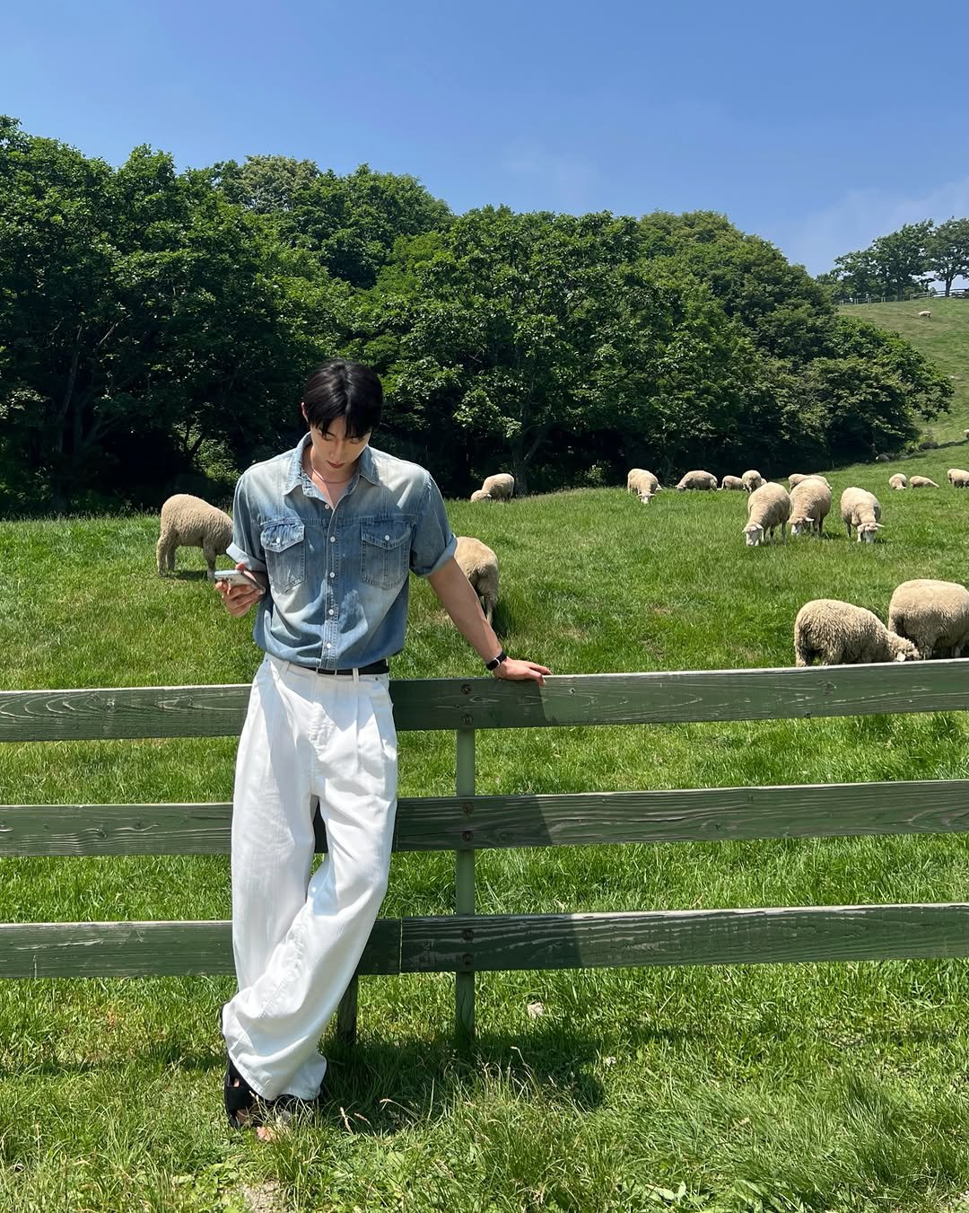 whtwilludo_o 게시물 이미지: 오늘도 교감 성공 🐏