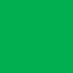 broadcally 프로필 사진