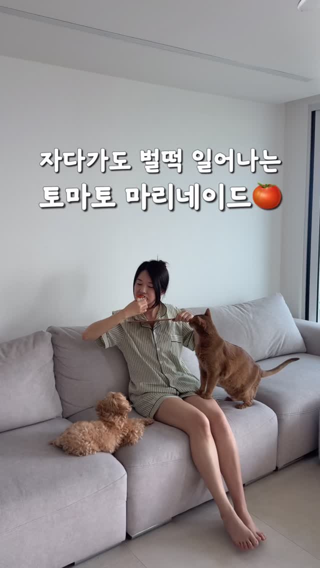 widsunshine 게시물 이미지: 이날만을 기다렸어요🍅
요즘 토마토 가격 진짜 저렴한데
이럴때 이거 왕창...