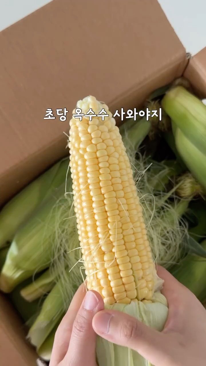 widsunshine 게시물 이미지: 지금 아니면 1년을 또 기다려야해요🙋🏻‍♀️
#공구예고 #초당옥수수

제주가 친가라...