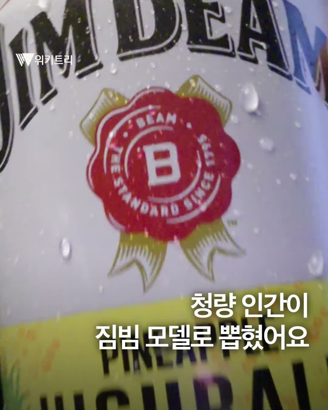 wikitree 게시물 이미지: GS25 털리는 소리 벌써부터 들린다..🫧

주류 브랜드...