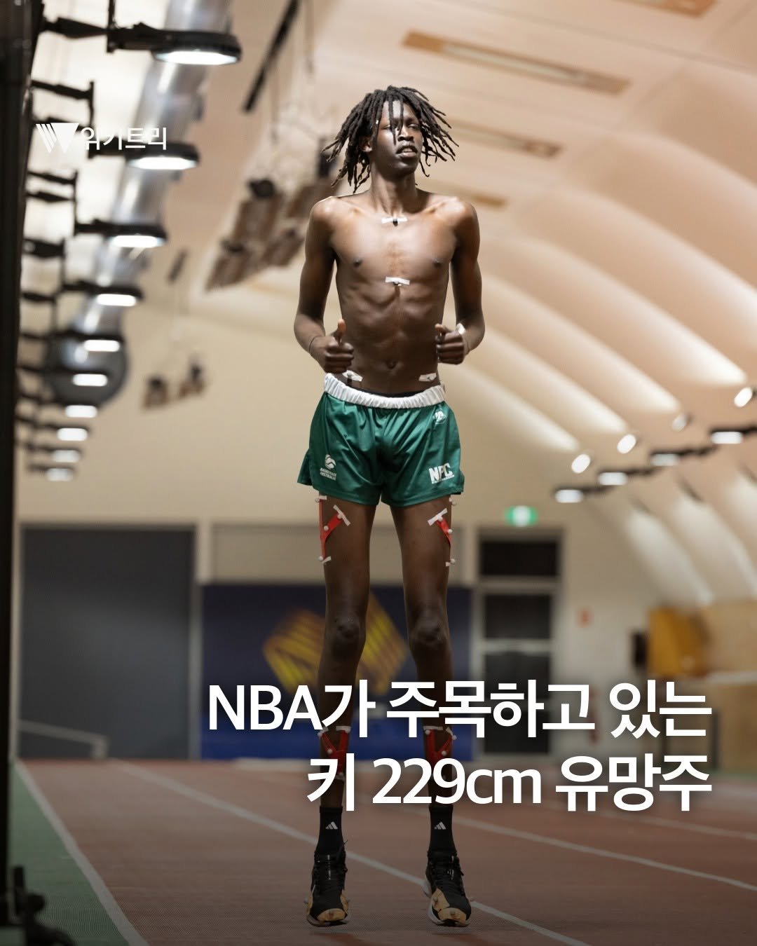 wikitree 게시물 이미지: 다리 길이가 내 키보다 큰 것 같아..

전 세계 농구계를 뒤흔들 엄청난 유망주가...