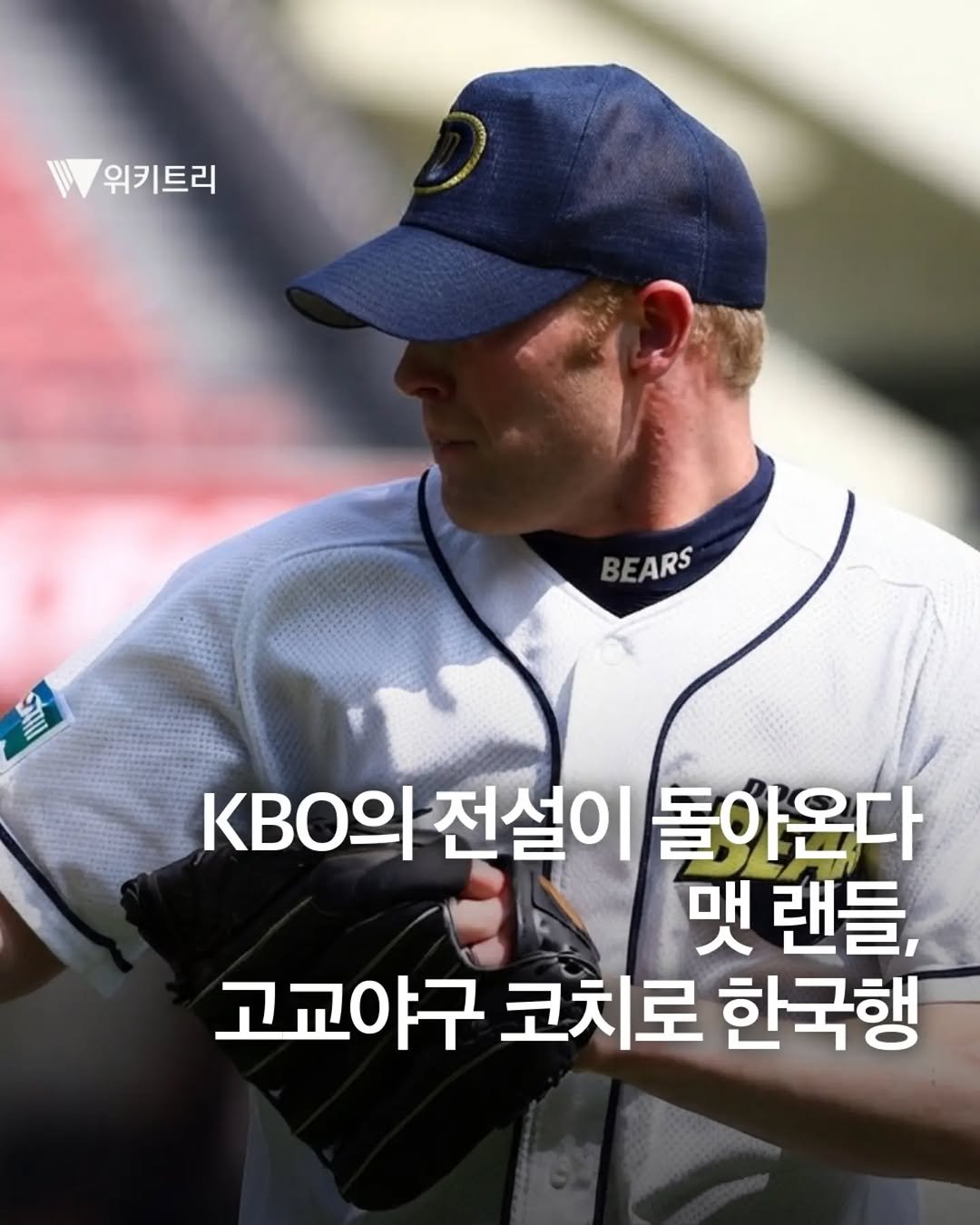 wikitree 게시물 이미지: 니느님 이전에 랜들이 있었다… 두산 베어스 전설의 용병, ‘맷 랜들’을...