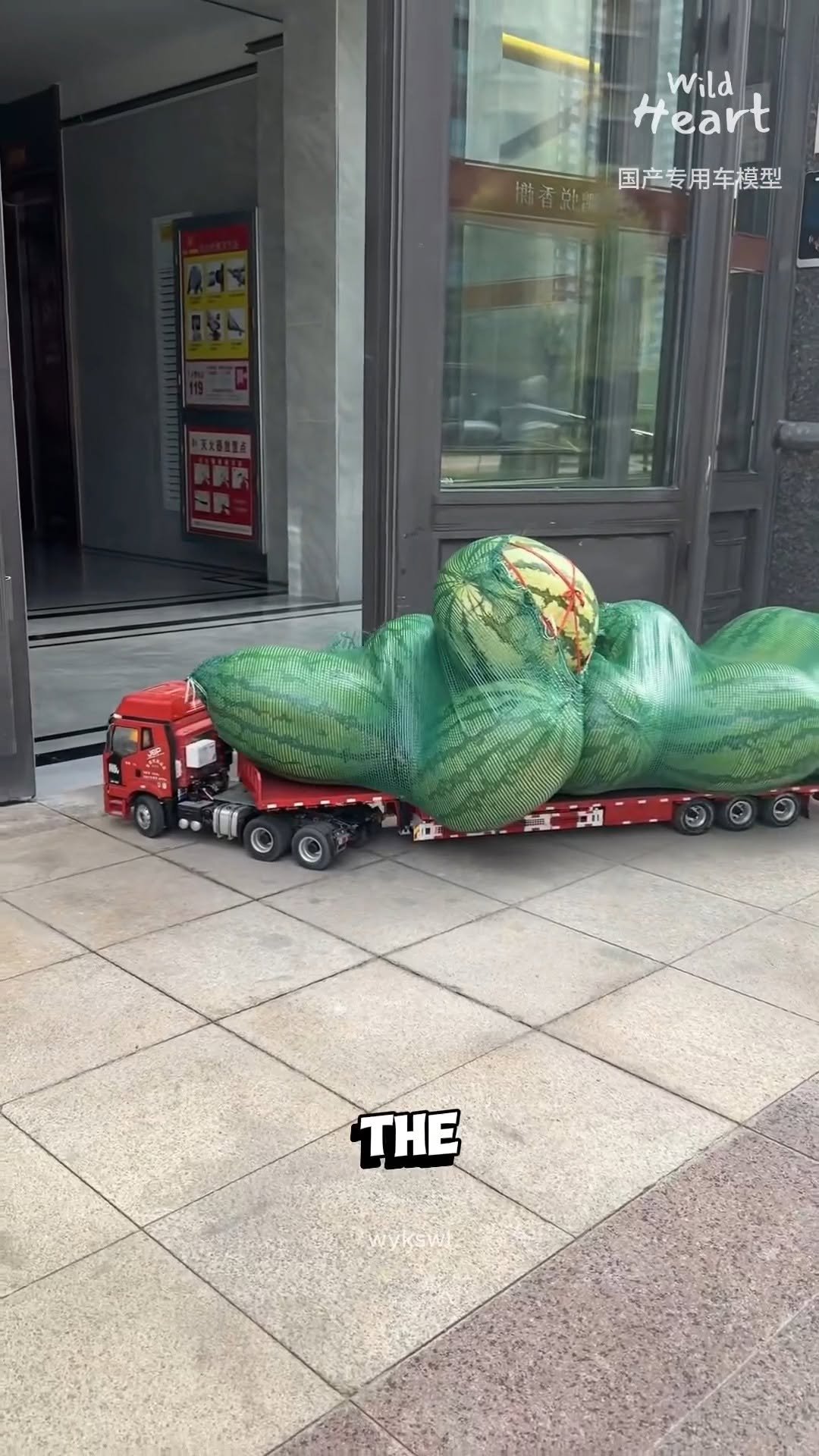 wildheart_500 게시물 이미지: Watermelon Delivery Machine
#fblifestyle...
