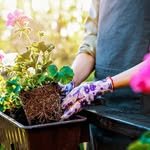 my_garden_ideas88 프로필 사진