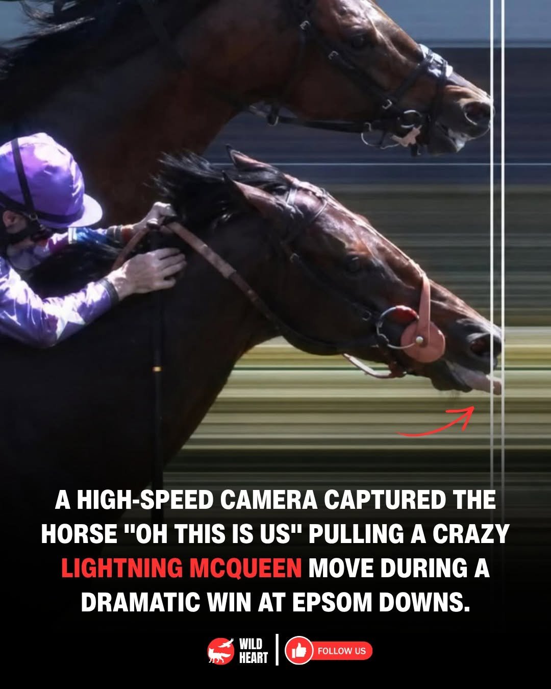 wildheart_500 게시물 이미지: Have you ever seen a horse pull off something...