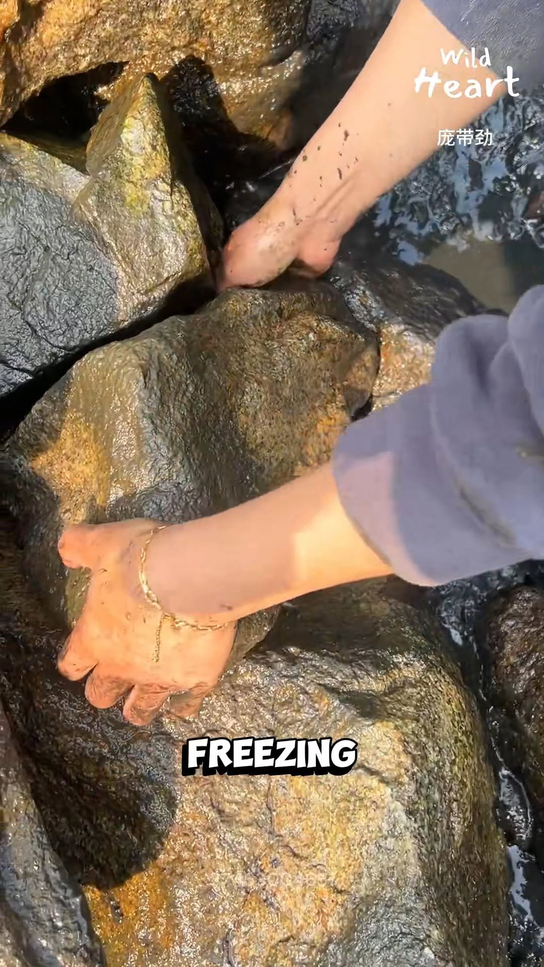 wildheart_500 게시물 이미지: Flipping Rocks for Dinner
#WinterForaging...