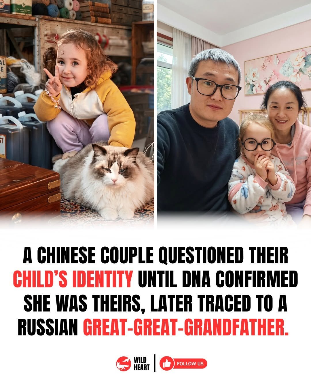 Photo by Wild Heart on April 28, 2026. May be an image of one or more people and text that says 'A CHINESE COUPLE QUESTIONED THEIR CHILD'S IDENTITY UNTIL DNA CONFIRMED SHE WAS THEIRS, LATER TRACED TO A RUSSIAN GREAT-GREAT-GRANDFATHER. GREAT-GREAT WILD HEART FOLLOW ร'.