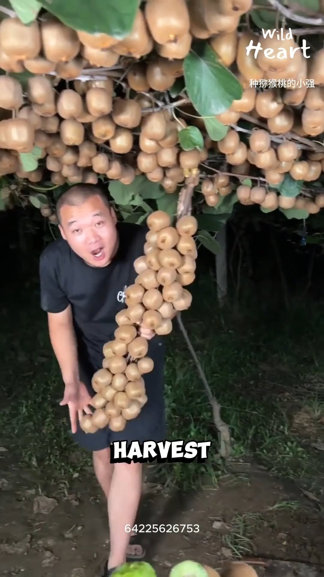 wildheart_500 게시물 이미지: Secrets of Kiwi Farming 
#fblifestyle...