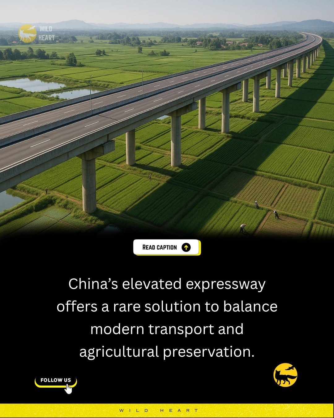 Photo by Wild Heart on October 03, 2025. May be an image of bridge and text that says 'WILD HEART READ CAPTION China's elevated expressway offers a rare solution to balance modern transport and agricultural preservation. FOLLOW US WILD HEART'.