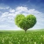 ww_love_gardening 프로필 사진