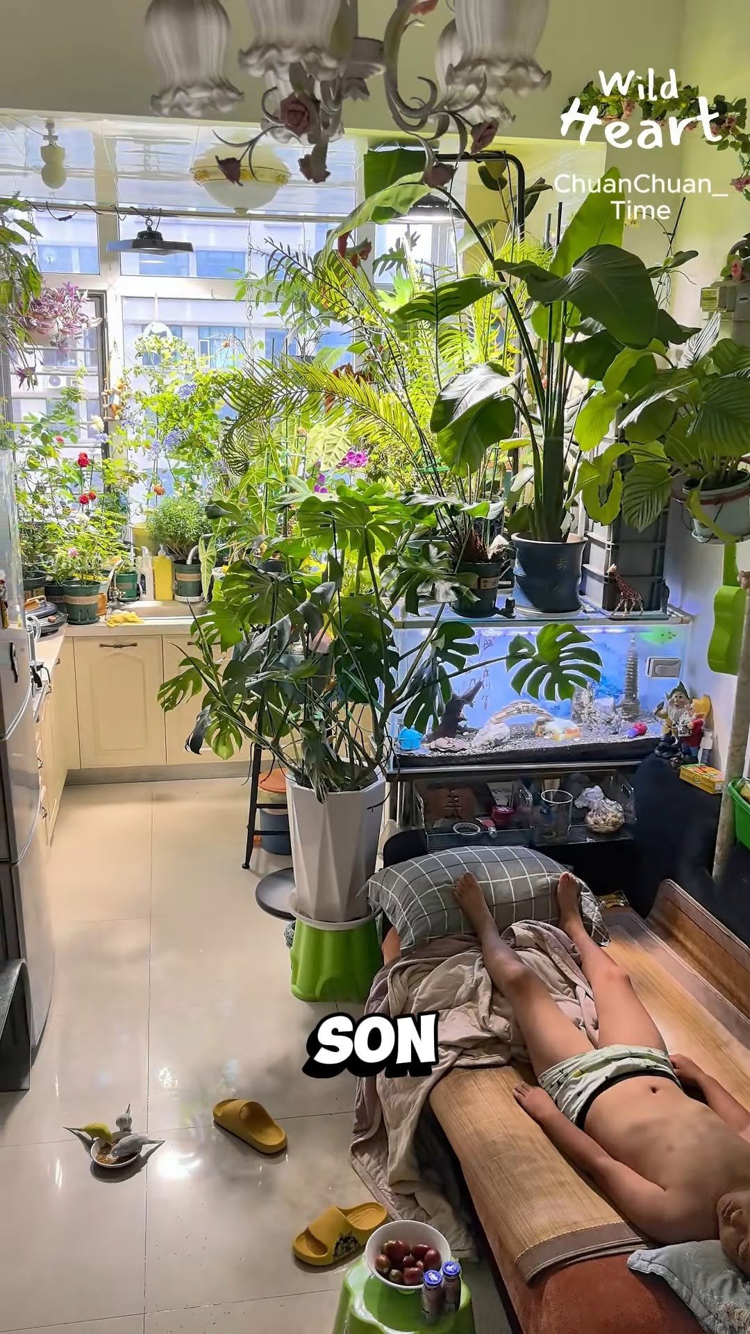 wildheart_500 게시물 이미지: A Tiny Home Full of Life
#tinyhome...