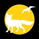 wildheart_500 인스타그램 프로필 사진