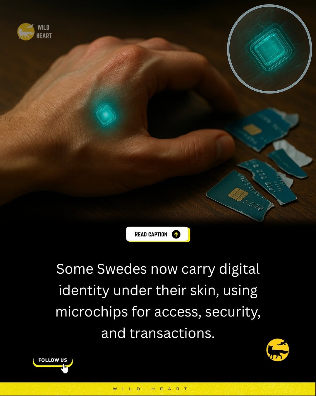 Photo by Wild Heart on October 04, 2025. May be an image of screen, computer keyboard and text that says 'カ WILD HEART ASUSE READ CAPTION Some Swedes now carry digital Swedes identity under their skin, using microchips for access, security, and transactions. FOLLOW US WILD HEART'.