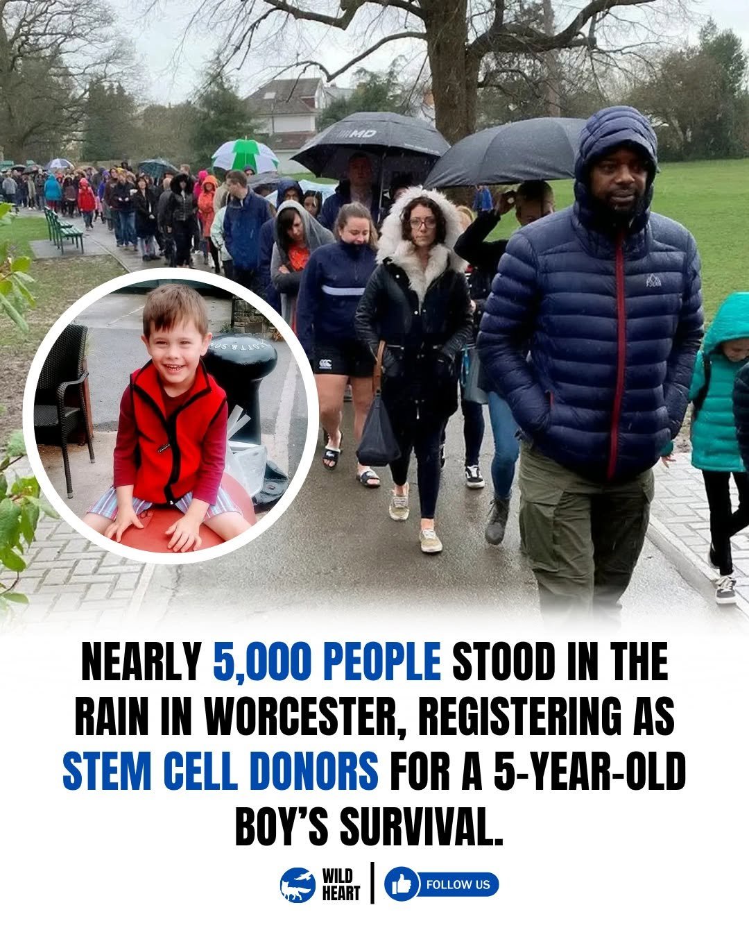 Photo by Wild Heart on April 28, 2026. May be a Twitter screenshot of standing, poster and text that says 'MD 5.トベ さ止 NEARLY 5,000 PEOPLE STOOD IN THE RAIN IN WORCESTER, REGISTERING AS STEM CELL DONORS FOR A 5-YEAR-OLD 5- BOY'S SURVIVAL. WILD FOLLOW'.